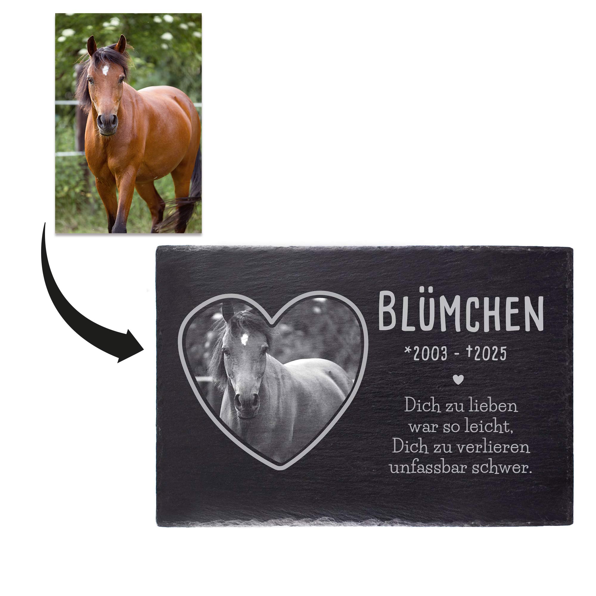 Grabplatte zur Trauer Haustier - Schiefer Gedenktafel mit Foto Grabplatte zur Trauer Haustier - Schiefer Gedenktafel mit Foto