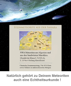 Meteorit Anhänger - Echter Sternenschmuck 2875 - 1