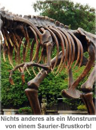 Tyrannosaurus Rex lebensgroß 1074 - 1