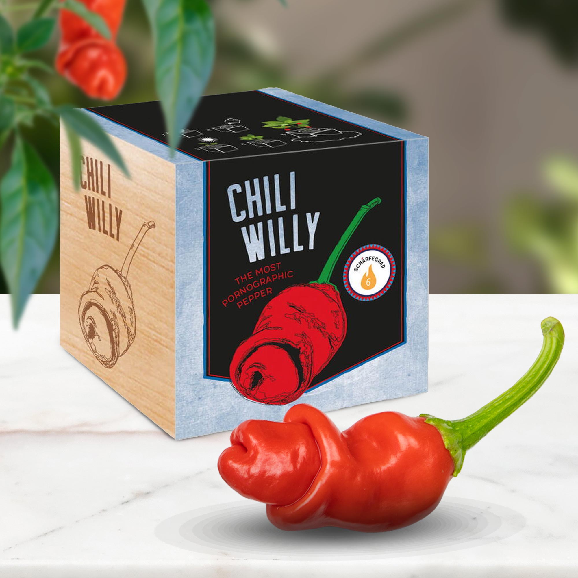 Ecocube Chili Willy
