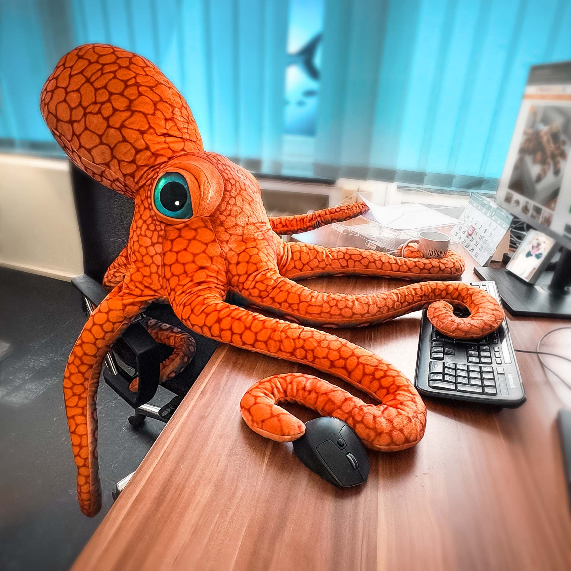 Riesen Oktopus - Kuscheltier & Kissen
