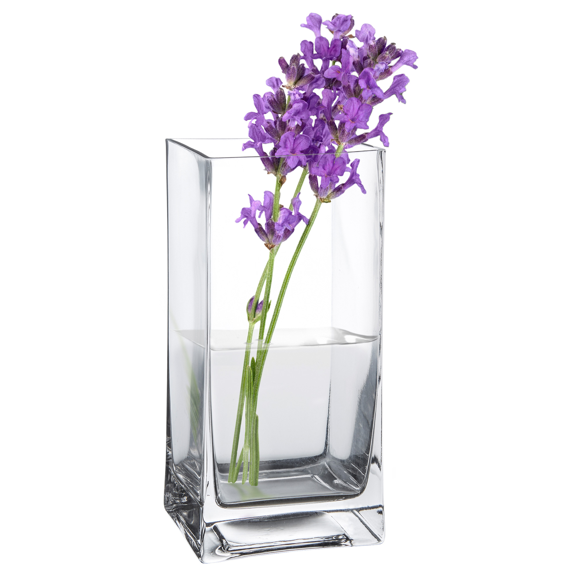 Eckige Vase - Glas Blumenvase