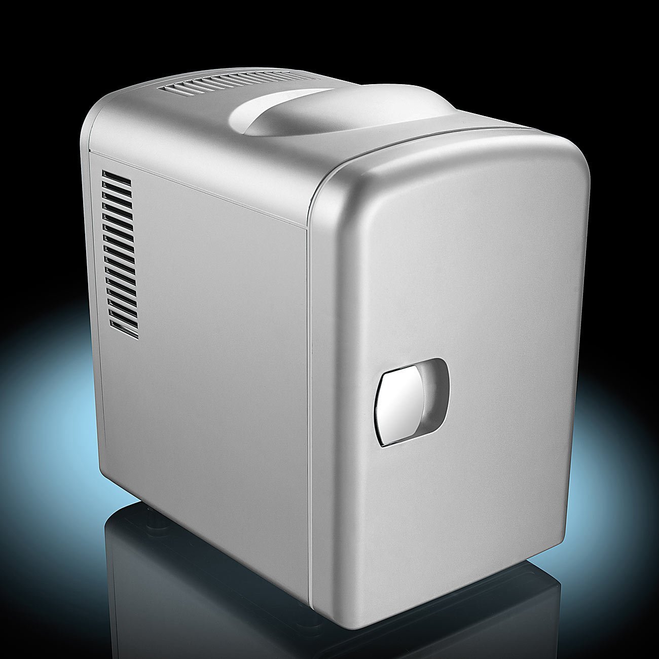 Mini Kühlschrank für 12/230 V 1348 - 6