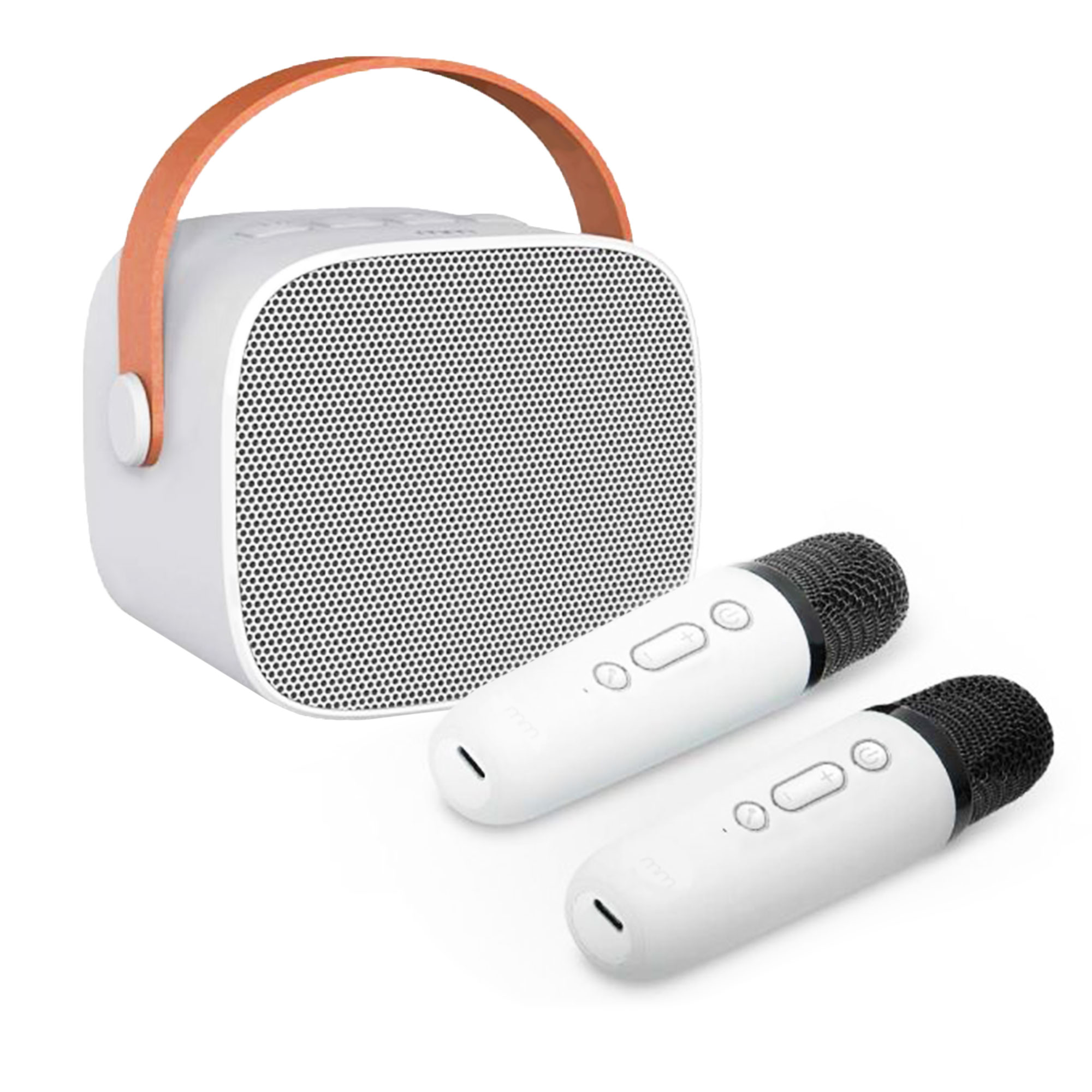 Mobile Bluetooth Karaokemaschine mit 2 Mikros
