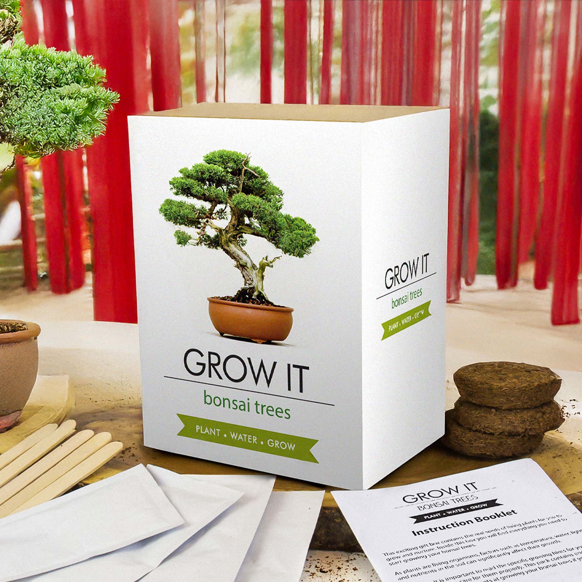 Bonsai Baum Set - Selber pflanzen Bonsai Baum Set - Selber pflanzen