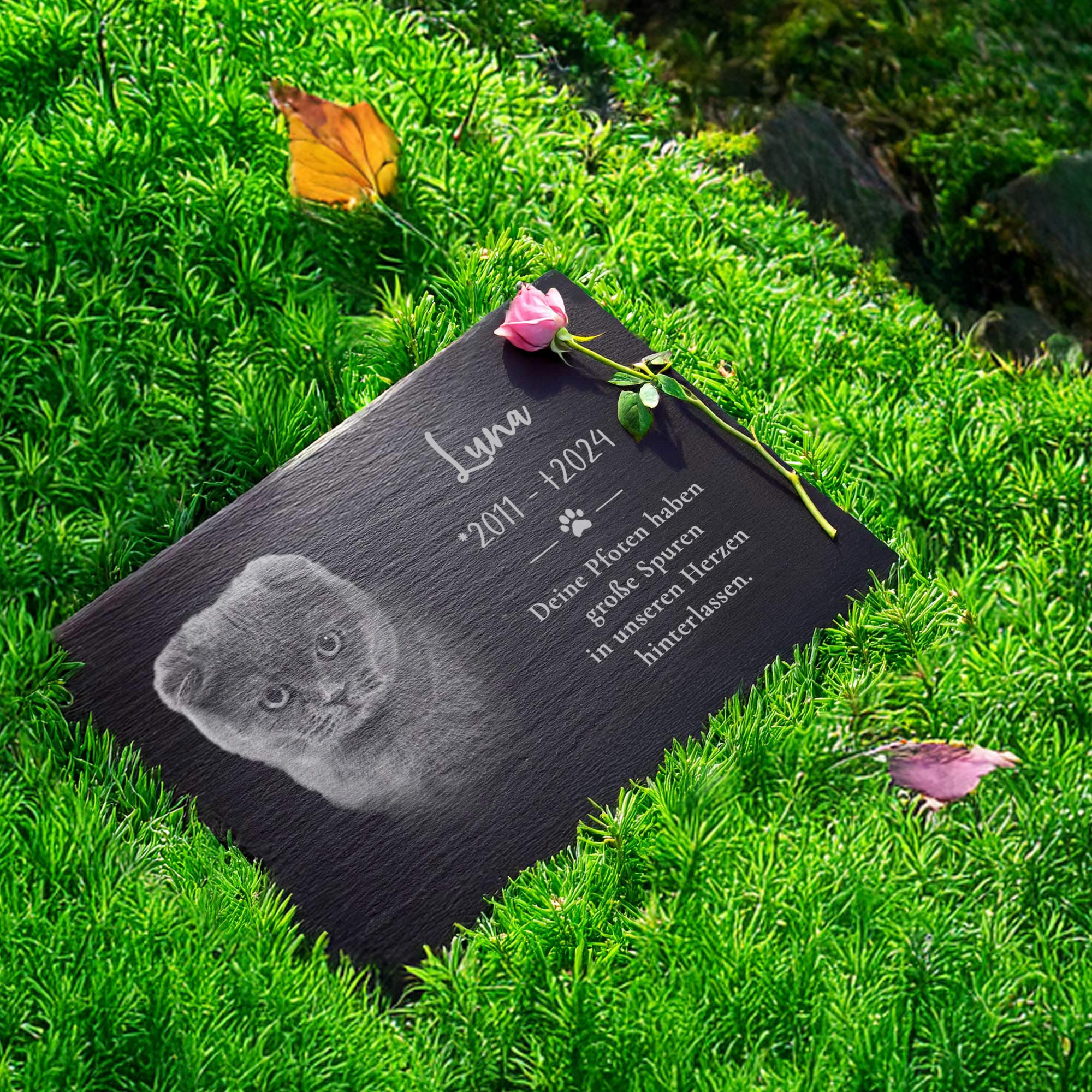 Grabplatte zur Trauer Hund & Katze - Schiefer Gedenktafel mit Foto Grabplatte zur Trauer Hund & Katze - Schiefer Gedenktafel mit Foto