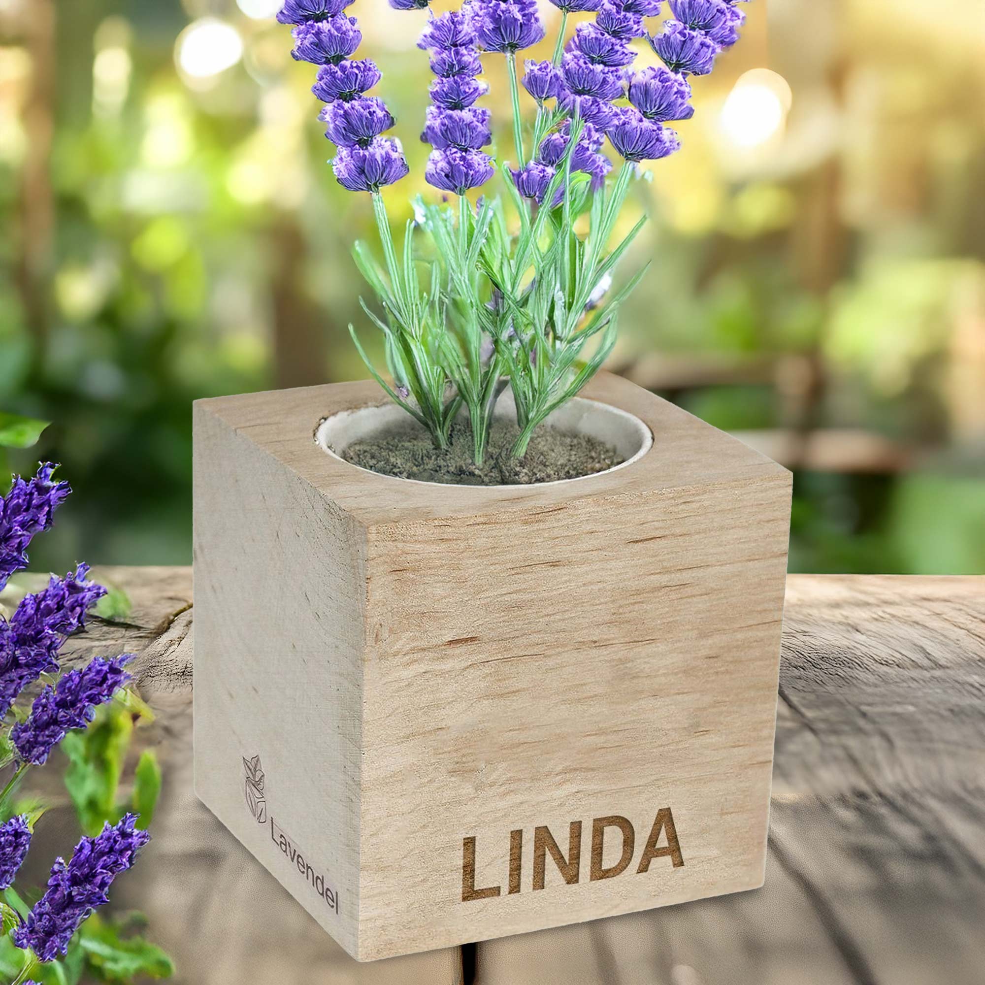 Ecocube Lavendel