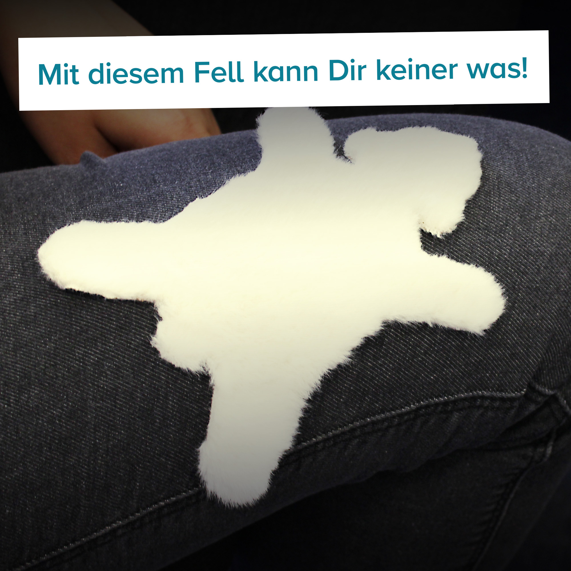 Dickes Fell Weiß