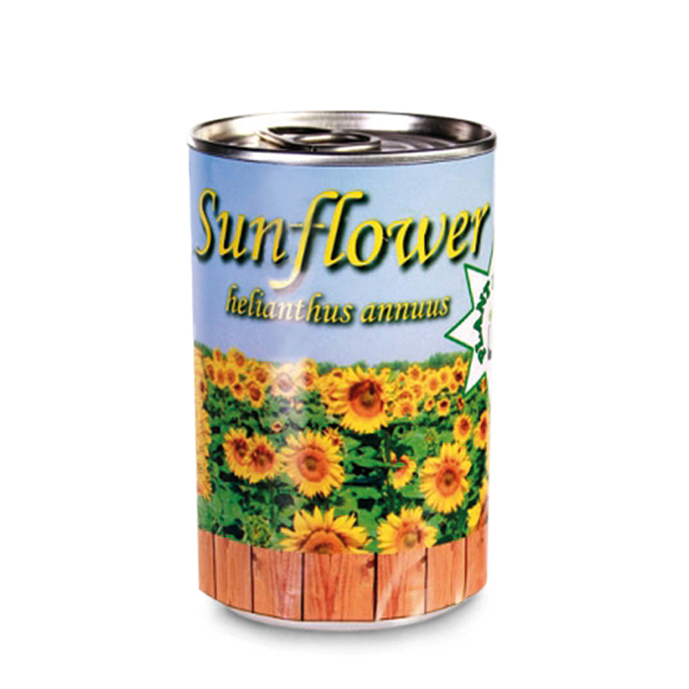 Dosenpflanze Sonnenblume 3061 - 3