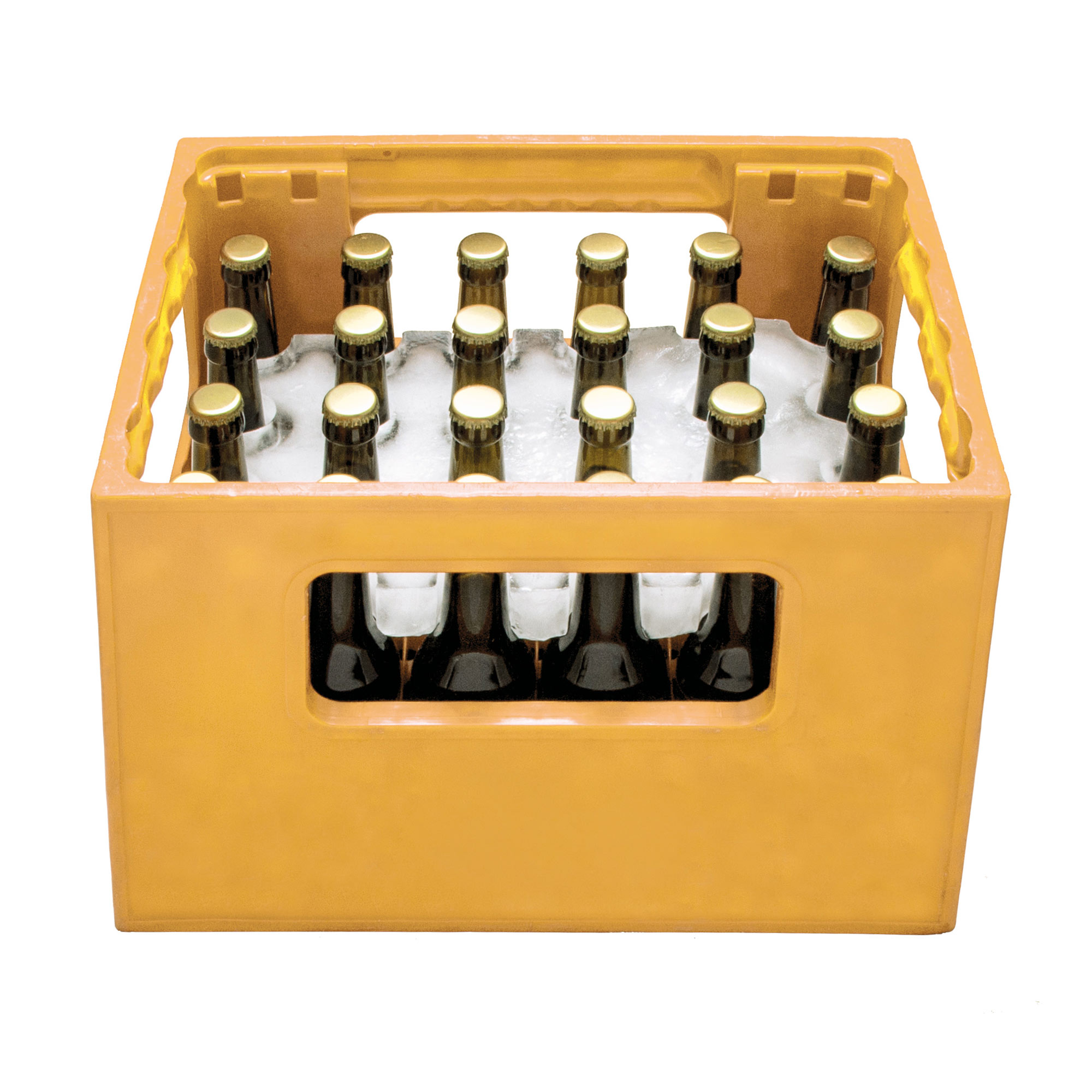 Bierkühler - Eisblockform für Bierkisten - 0,33 l Flaschen Bierkühler - Eisblockform für Bierkisten - 0,33 l Flaschen
