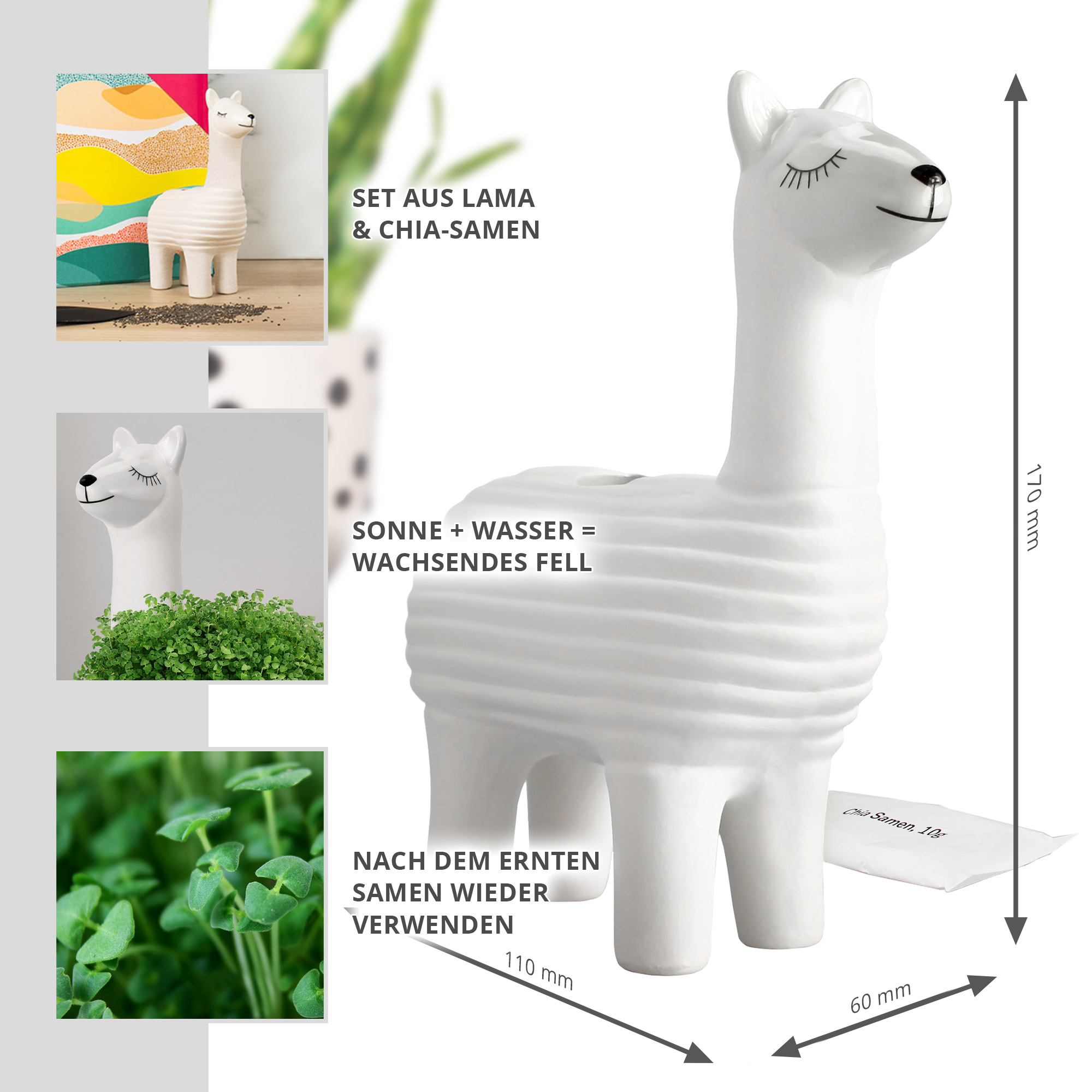 Green Lama Pflanztier - Chia Samen Pflanzgefäß