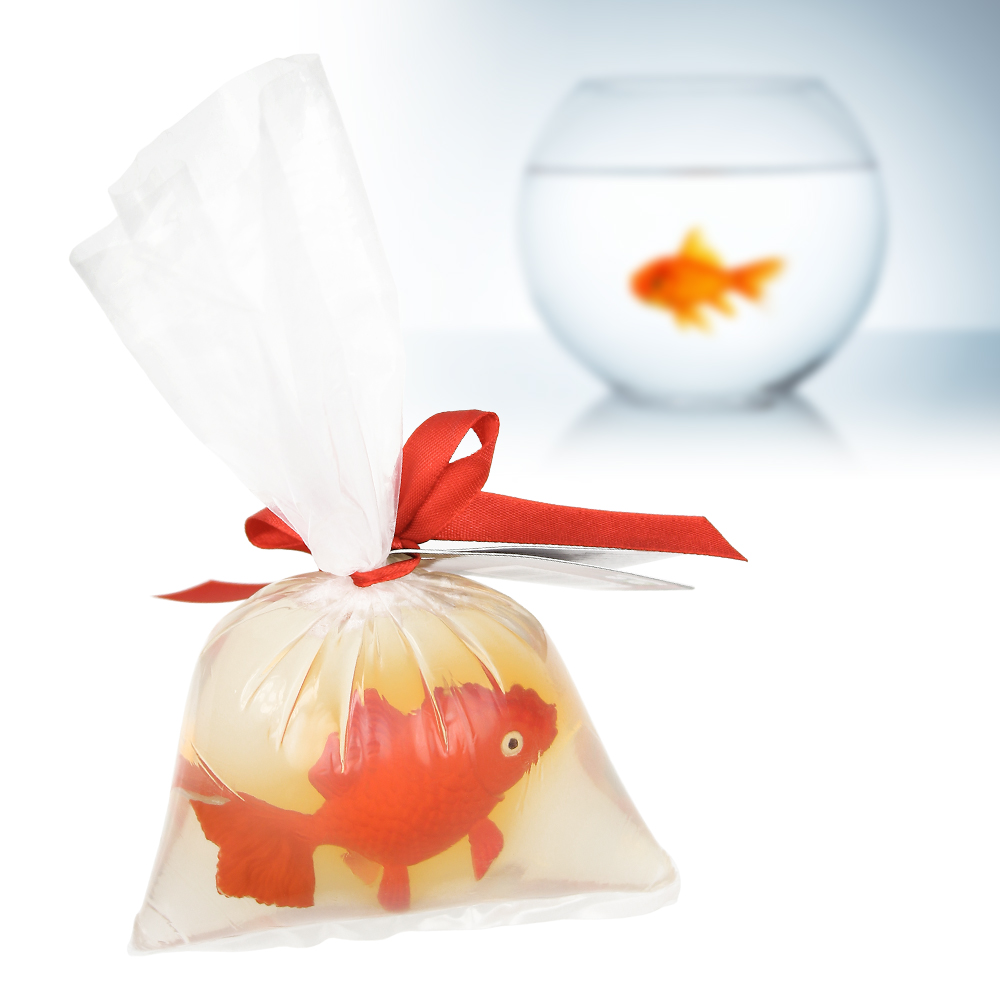 Goldfisch Seife 3470