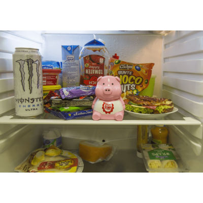 Diät Schweinchen für Kühlschrank - grunzender Scherzartikel 