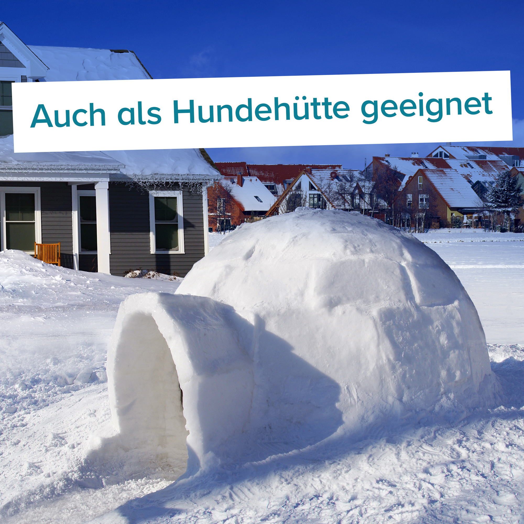 Iglu Bausatz für zuhause - Igloo yourself 3668 - 6