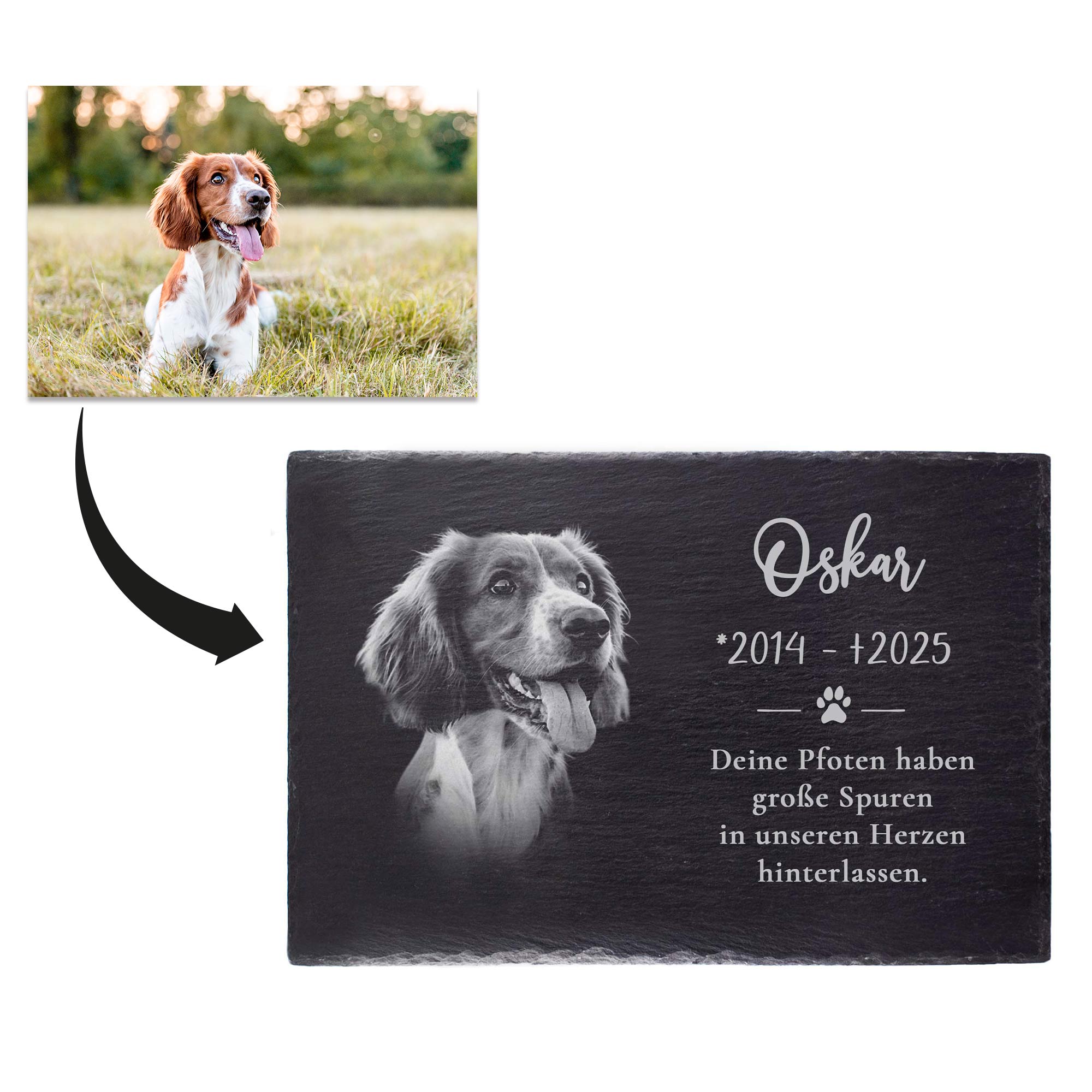 Grabplatte zur Trauer Hund & Katze - Schiefer Gedenktafel mit Foto Grabplatte zur Trauer Hund & Katze - Schiefer Gedenktafel mit Foto