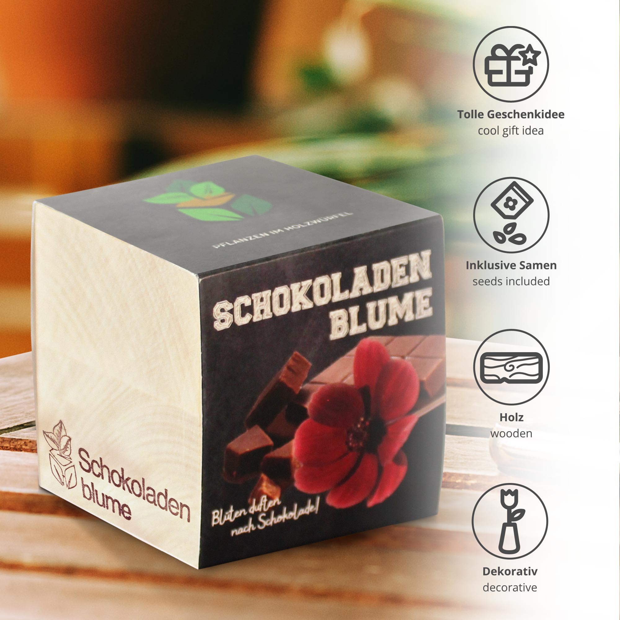 Ecocube Schokoladenblume 2192-MZ - 3