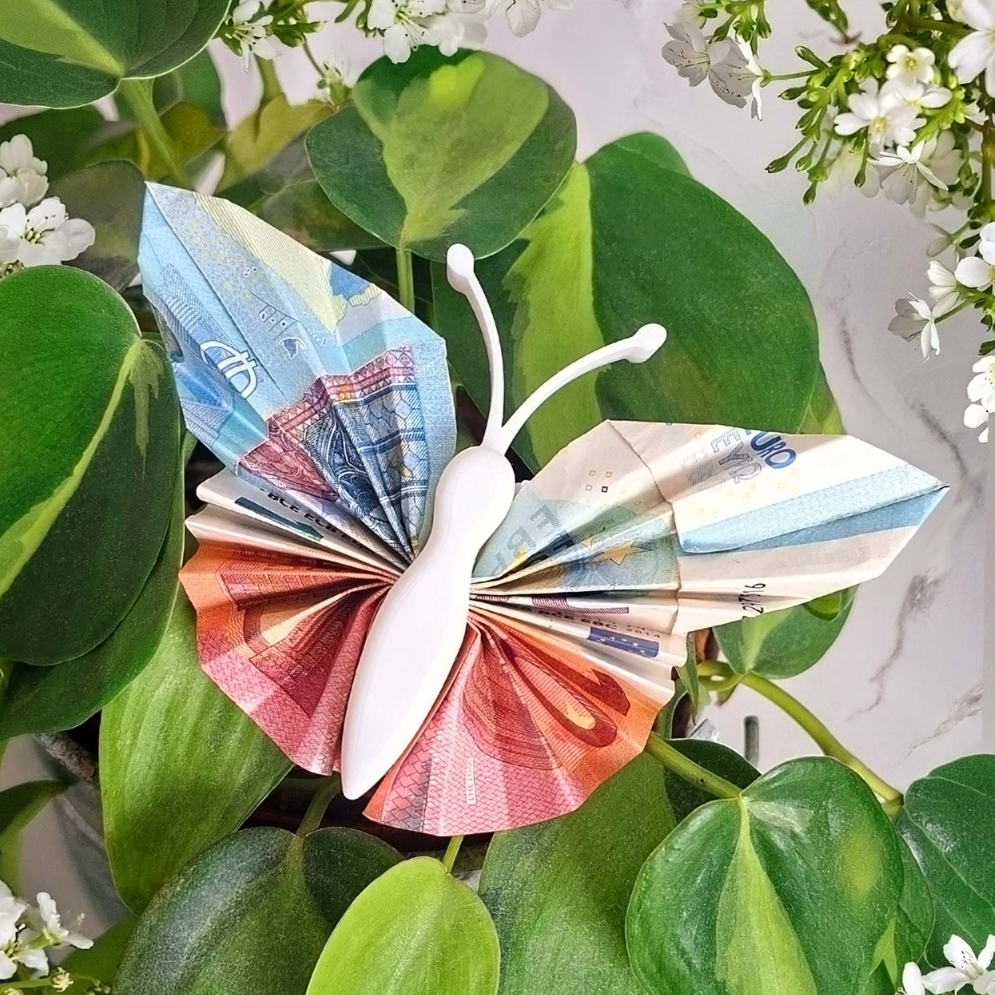 Geldgeschenk Schmetterling Weiß - 3er Set Geschenkverpackung für Geld Geldgeschenk Schmetterling Weiß - 3er Set Geschenkverpackung für Geld