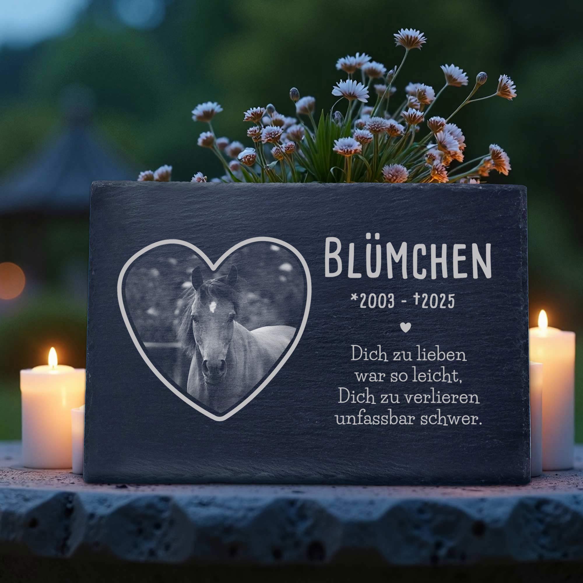 Grabplatte zur Trauer Haustier - Schiefer Gedenktafel mit Foto Grabplatte zur Trauer Haustier - Schiefer Gedenktafel mit Foto